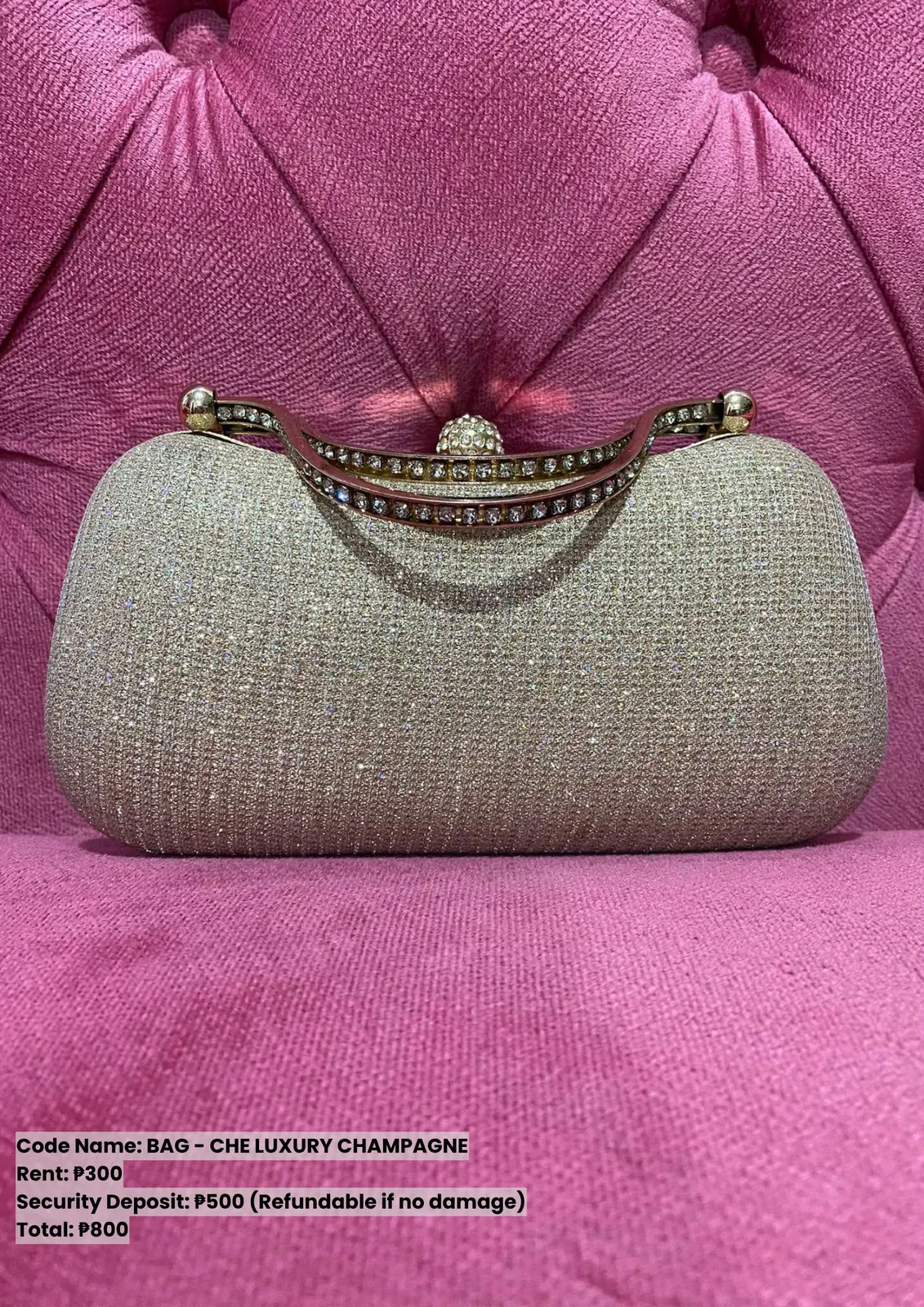 Bags: Che Luxury Silver
