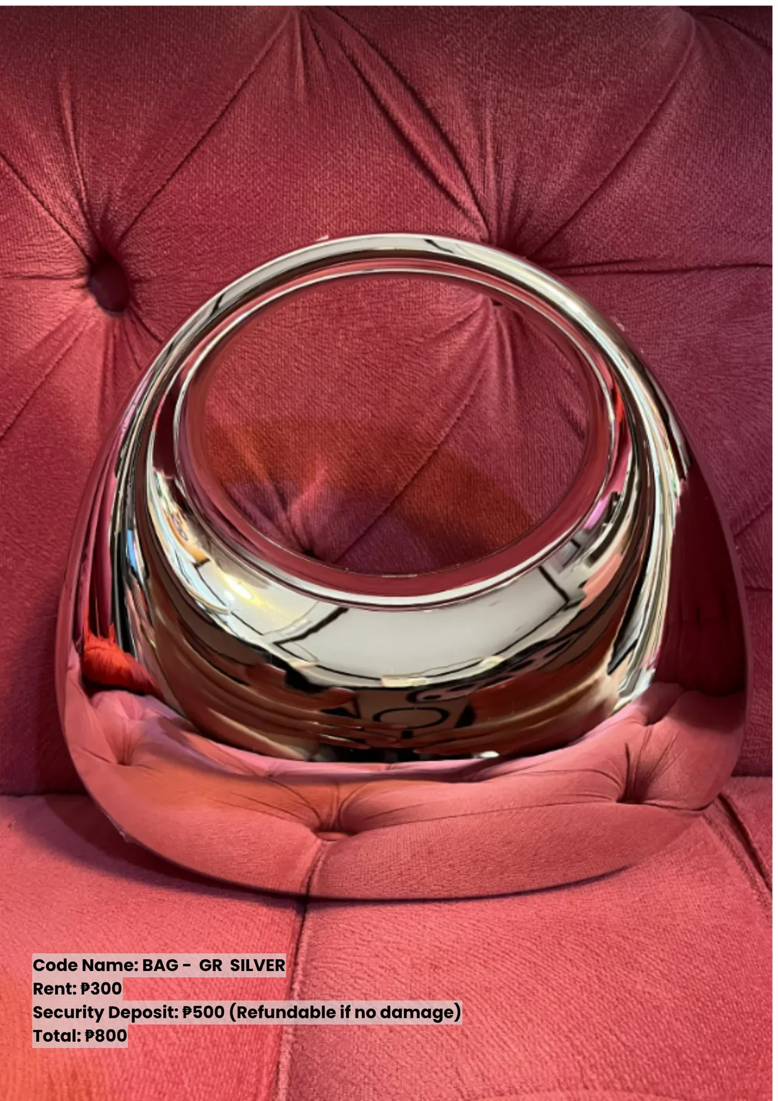 Bags: Gr Silver